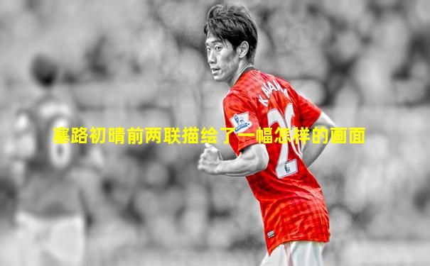塞路初晴前两联描绘了一幅怎样的画面