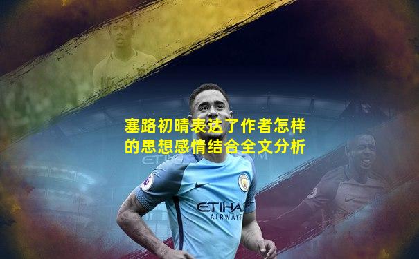 塞路初晴表达了作者怎样的思想感情结合全文分析