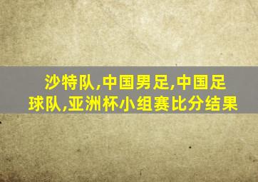 沙特队,中国男足,中国足球队,亚洲杯小组赛比分结果