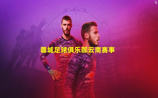 蓉城足球俱乐部云南赛事