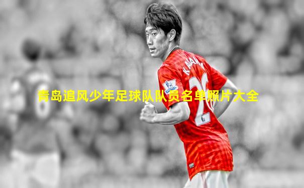青岛追风少年足球队队员名单照片大全
